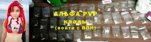 spice Вяземский